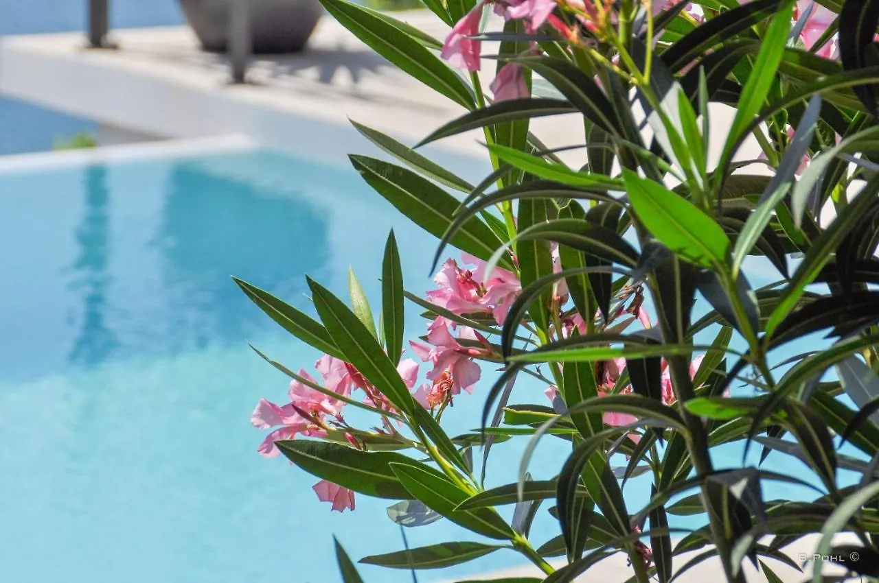 Holiday home Artistic Beach House With Pool Jadranovo Croatia